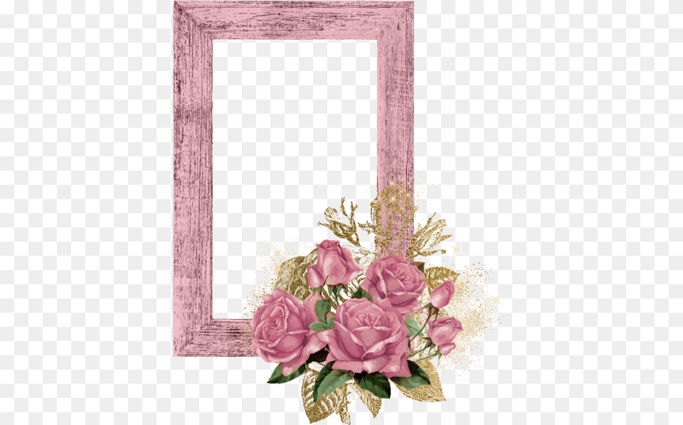 Pink, Flower, Flower Arrangement, Plant, Rose Png