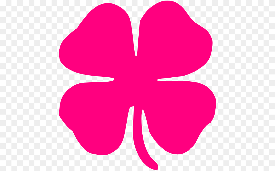 Pink 4 Leaf Clover, Flower, Petal, Plant Png Image