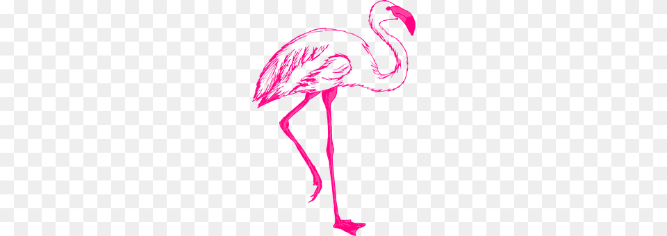 Pink Animal, Bird, Flamingo, Smoke Pipe Png Image