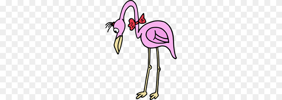 Pink Animal, Bird, Flamingo, Beak Png Image