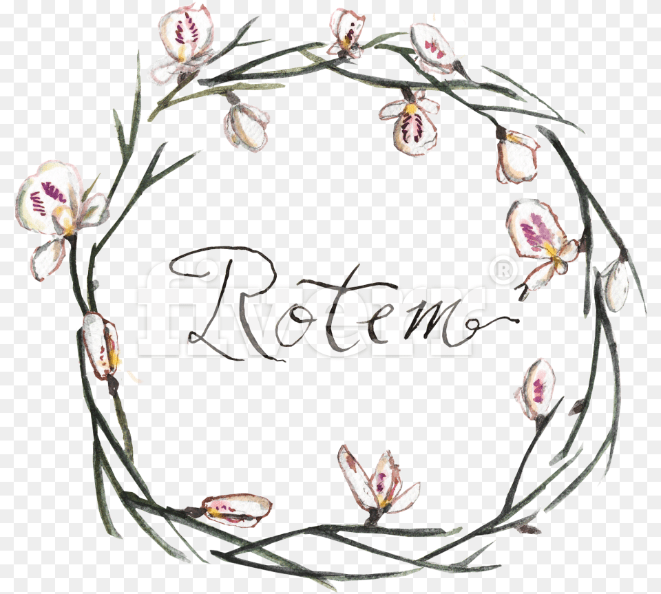 Pink, Flower, Plant Png Image