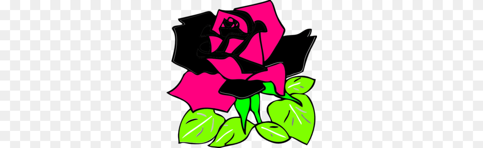 Pink And Black Rose Clip Art, Flower, Leaf, Plant, Green Free Png