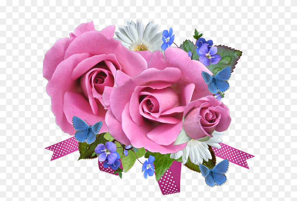Pink And Blue Rose, Flower, Flower Arrangement, Flower Bouquet, Plant Free Transparent Png