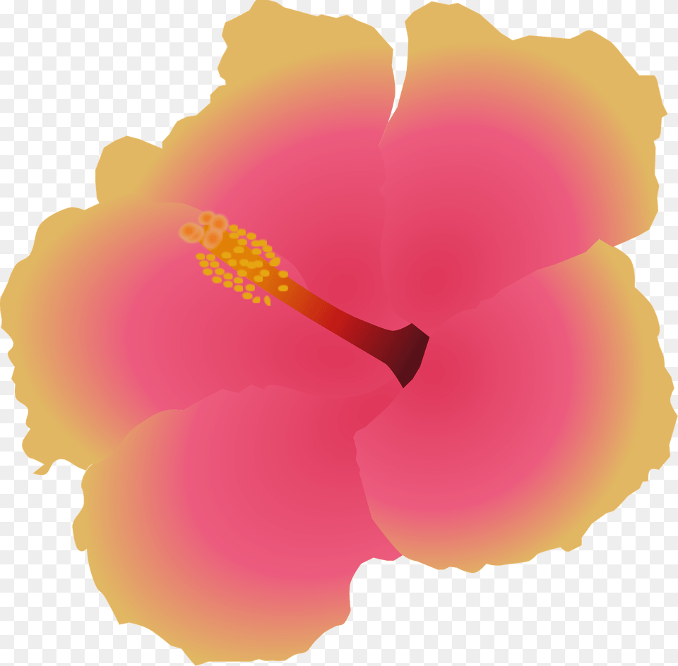 Pink And Gold Hibiscus Clipart, Flower, Plant, Petal Free Png