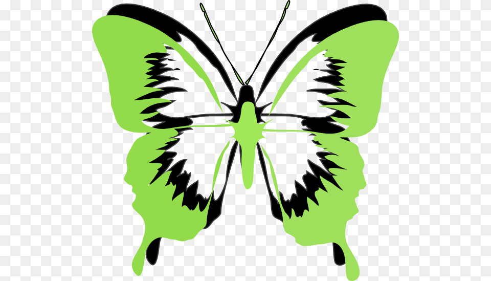 Pink And Green Butterfly Clipart, Stencil, Person, Face, Head Png Image