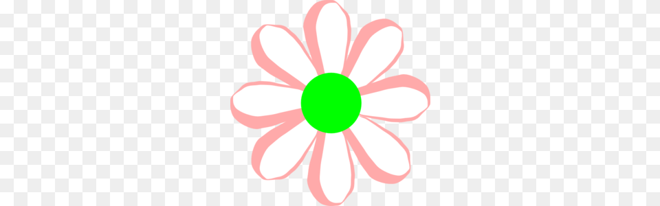 Pink And Green Daisy Clip Art, Anemone, Flower, Petal, Plant Free Png Download