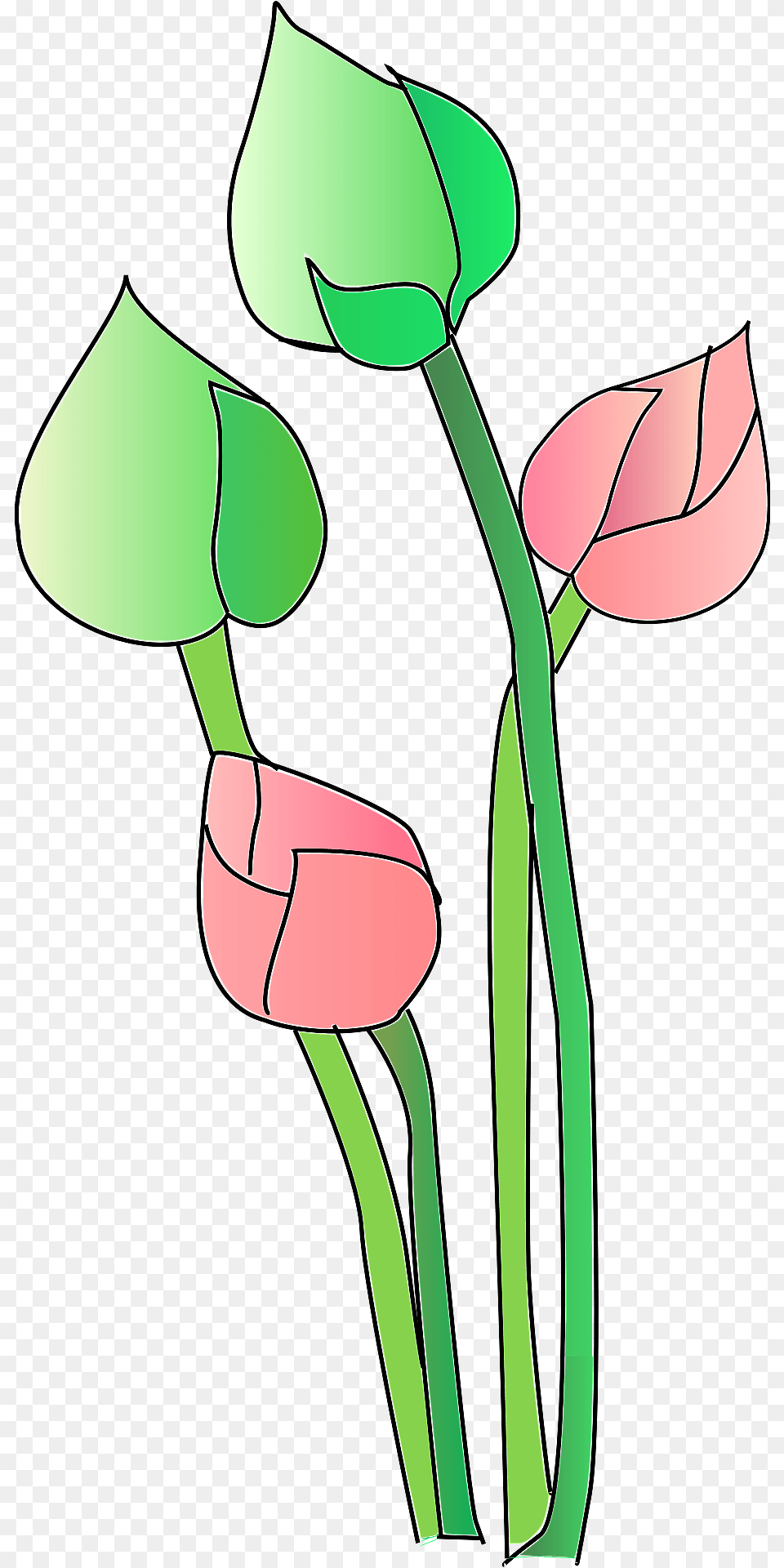 Pink And Green Lotus Clipart, Flower, Plant, Petal, Art Free Png Download