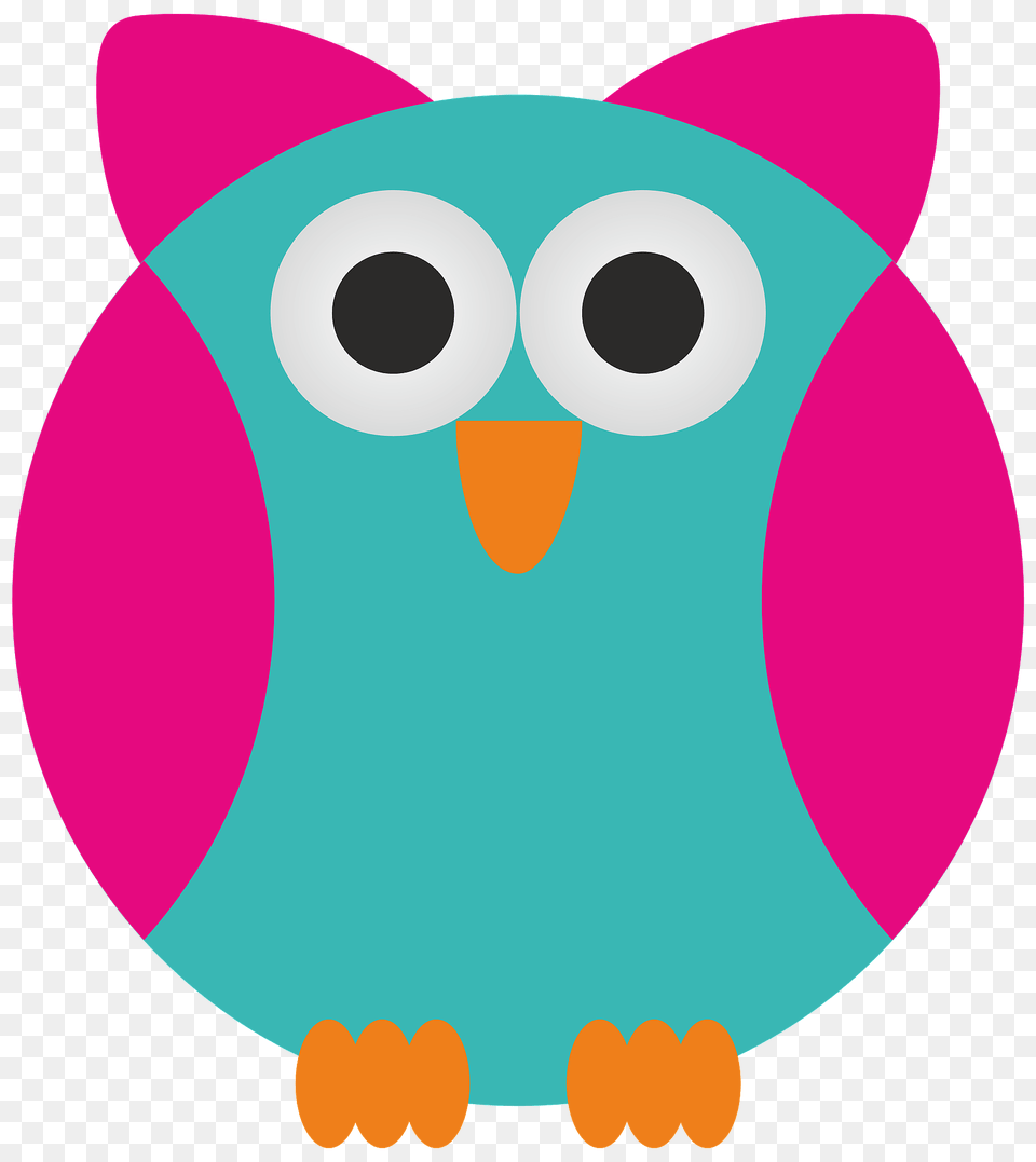 Pink And Green Owl Clipart, Animal, Disk Free Transparent Png