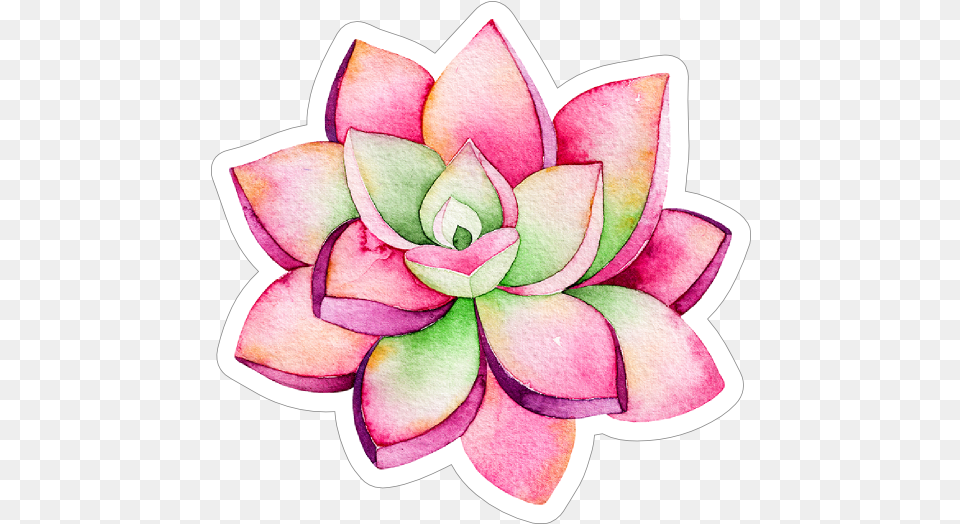 Pink And Green Watercolor Succulent Sticker Watercolor Sticker, Dahlia, Flower, Plant, Art Free Png Download