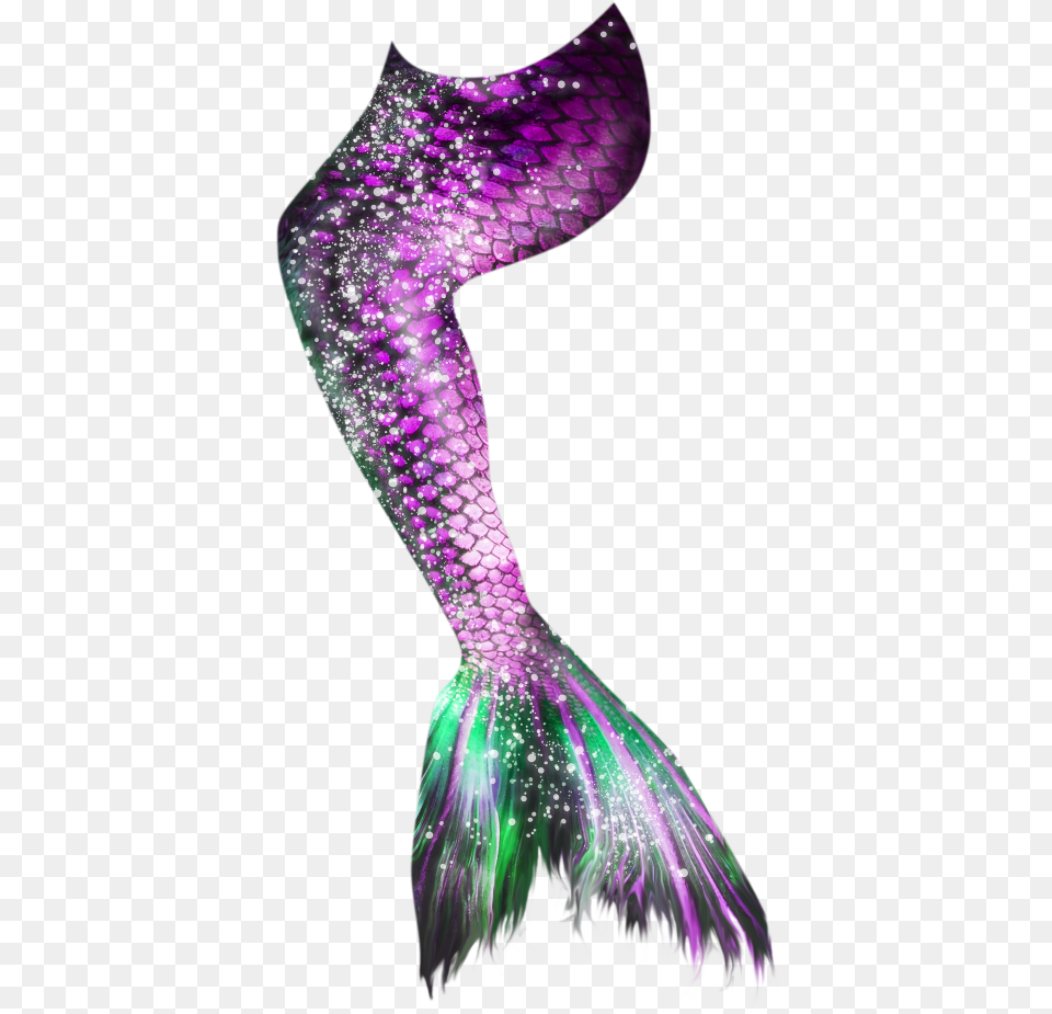 Pink And Purple Mermaid Tail, Adult, Female, Person, Woman Png Image