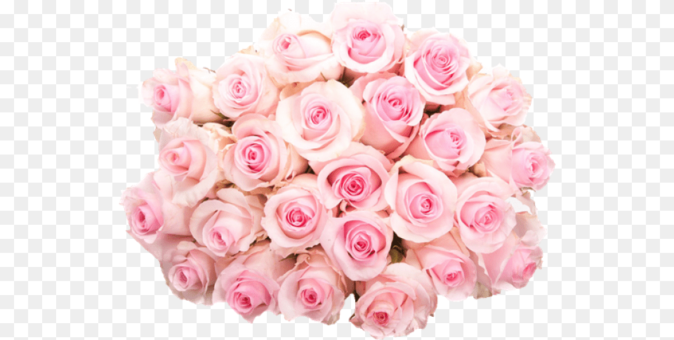 Pink And White Flowers 3 Bouquet Pink Rose, Flower, Flower Arrangement, Flower Bouquet, Petal Png Image