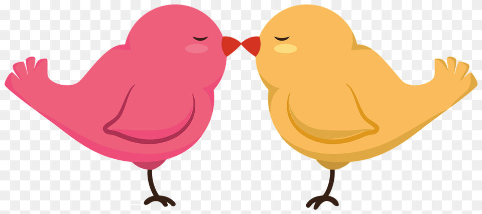 Pink And Yellow Birds Kiss Clipart, Animal, Bird, Fish, Sea Life Png