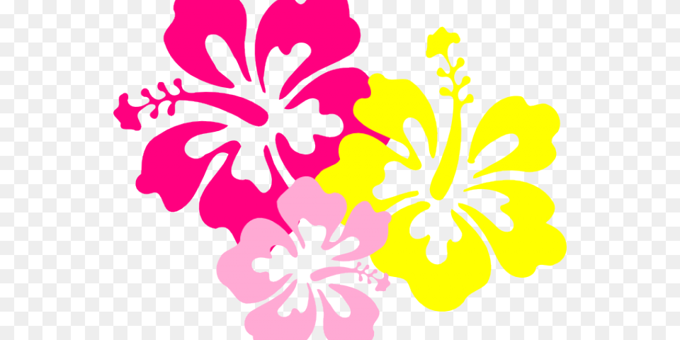 Pink And Yellow Flowers, Flower, Hibiscus, Plant, Person Png