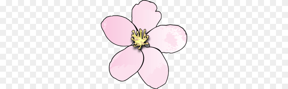 Pink Apple Blossom Clip Art, Petal, Anther, Flower, Plant Png