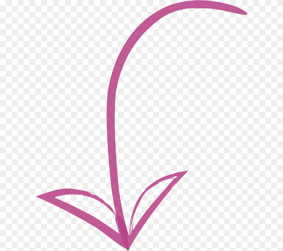 Pink Arrow Left, Flower, Plant, Animal, Fish Png