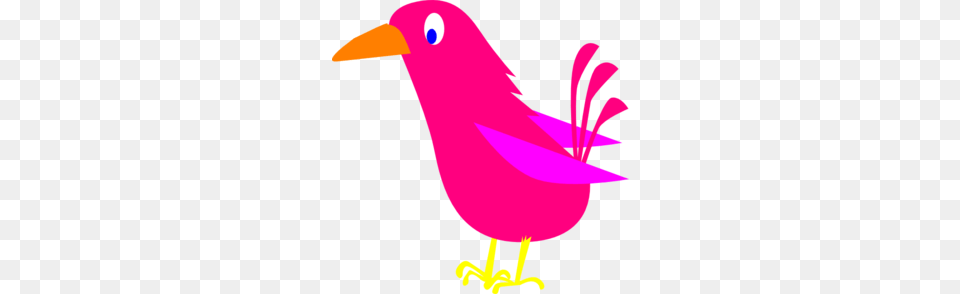 Pink Bird Clip Art For Web, Animal, Beak, Graphics Free Png Download