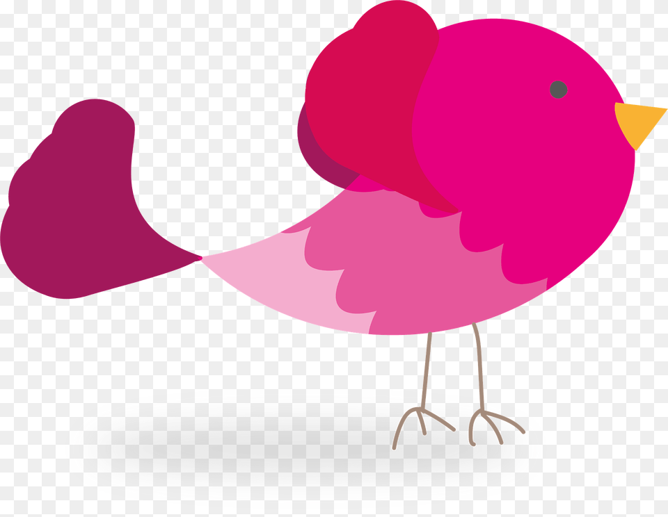 Pink Bird Clipart, Animal, Beak, Finch Free Png Download