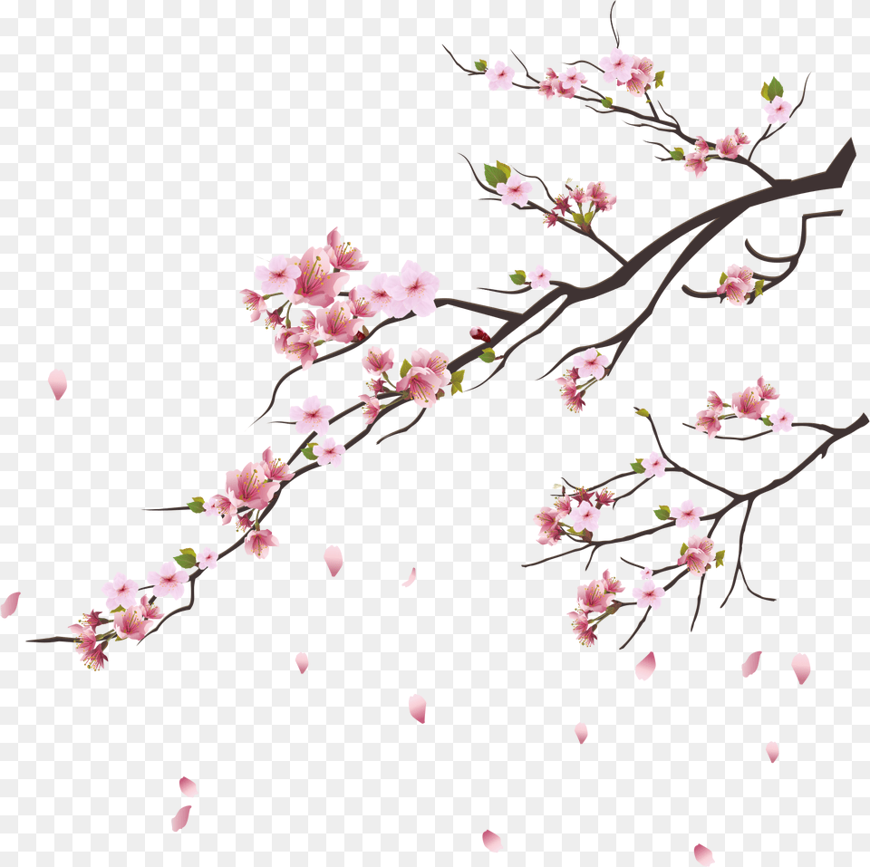 Pink Blossoms Tokyo Blossom Cherry Tsukasa Branch Clipart Cherry Blossom Branch, Cherry Blossom, Flower, Plant, Balloon Png