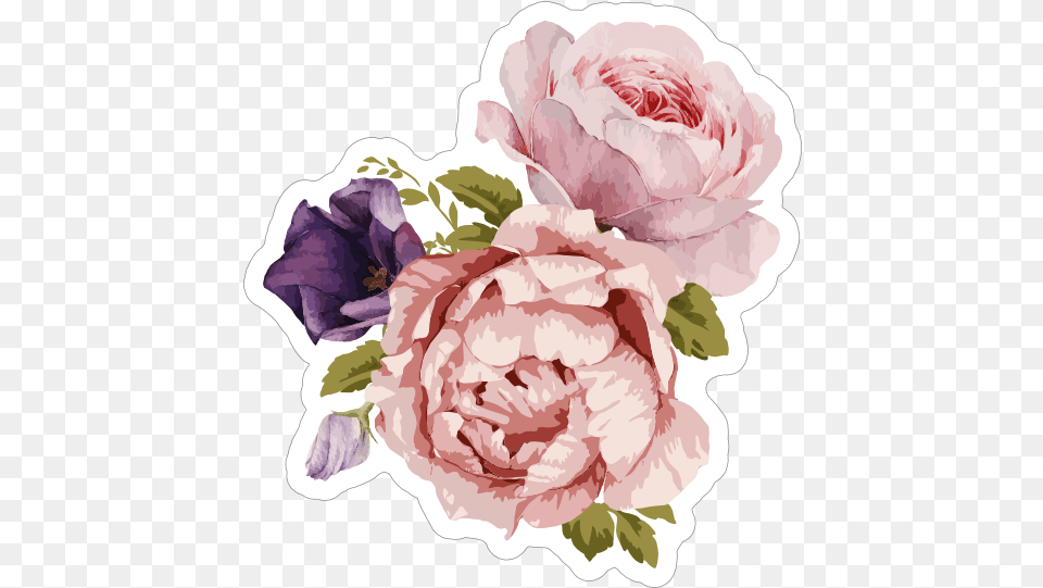Pink Bouquet Of Roses Flower Stickers Flower Stickers, Plant, Carnation, Rose, Baby Free Png