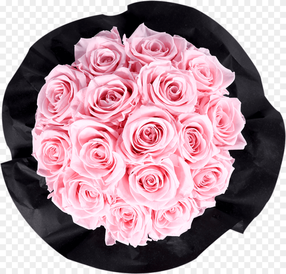 Pink Bouquet Pink And Black Bouquet, Flower, Flower Arrangement, Flower Bouquet, Petal Free Transparent Png