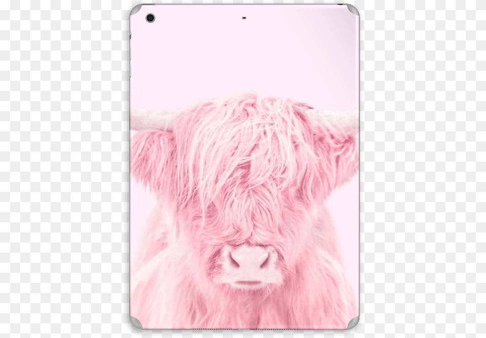 Pink Bull Skin Ipad Air Pink Bull, Animal, Cattle, Livestock, Mammal Png Image