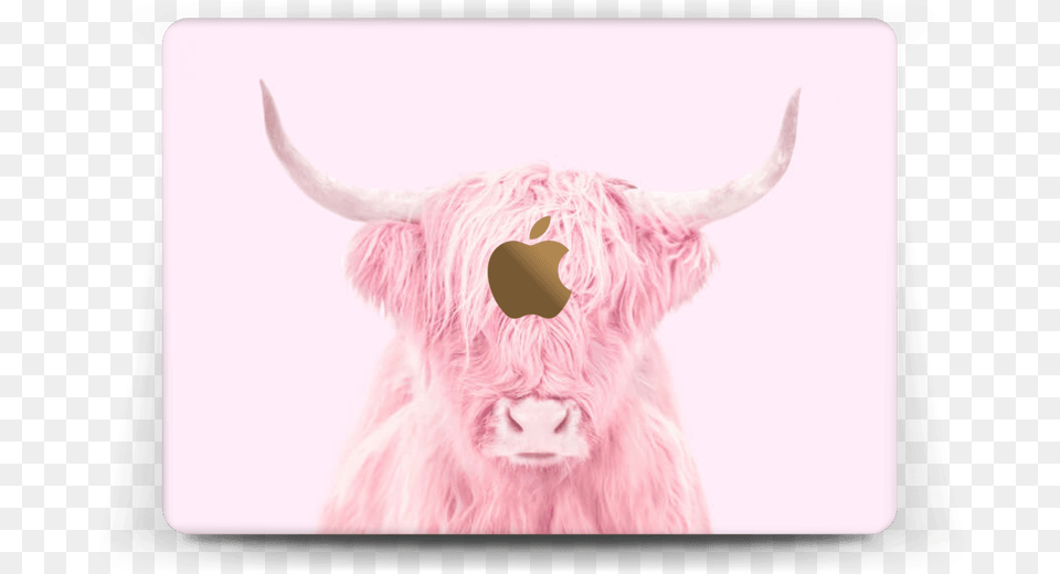 Pink Bull Skin Macbook 12 Pink Bull, Animal, Mammal, Cattle, Livestock Png