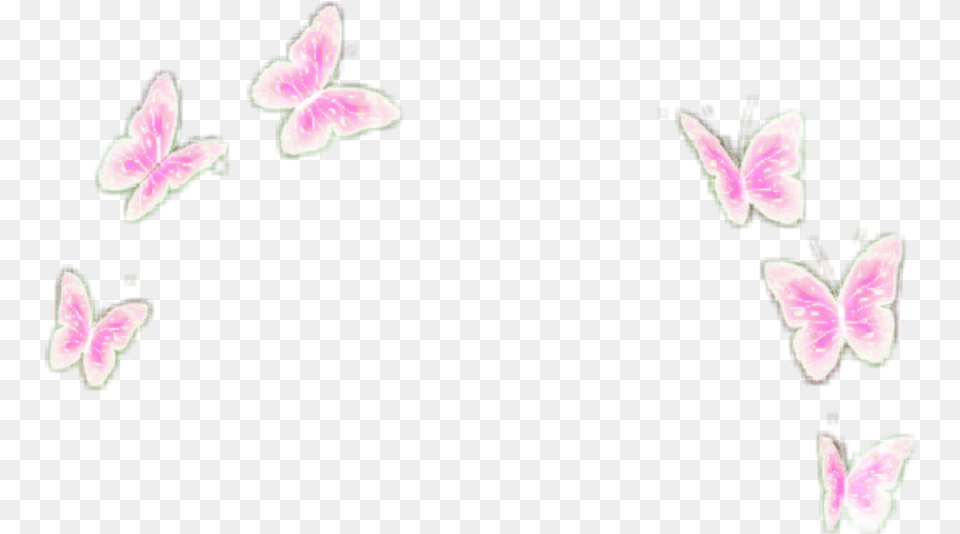 Pink Butterflies Butterfly Overly Filter Crownn Butterfly Filter Transparent, Flower, Petal, Plant, Purple Png Image