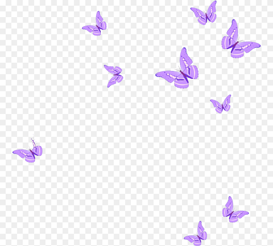 Pink Butterflies Download Pink Butterfly Clipart, Animal, Bird, Flying, Purple Free Transparent Png