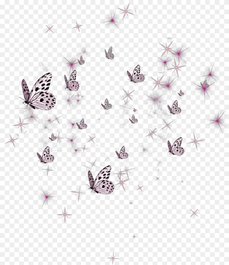 Pink Butterflies Lights Stars Cute, Purple, Lighting, Nature, Night Free Transparent Png