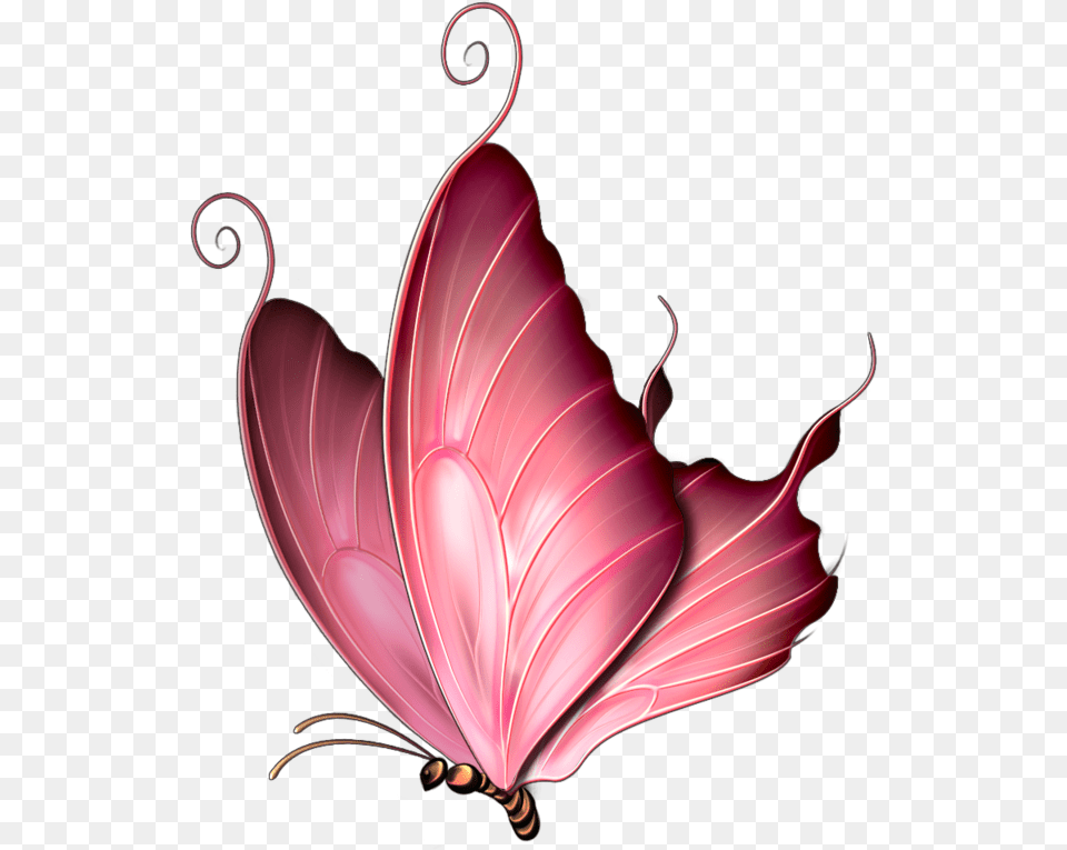 Pink Butterfly, Plant, Petal, Pattern, Graphics Free Png