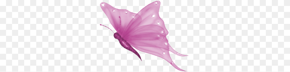 Pink Butterfly Background Butterfly Clipart, Appliance, Blow Dryer, Device, Electrical Device Free Png Download