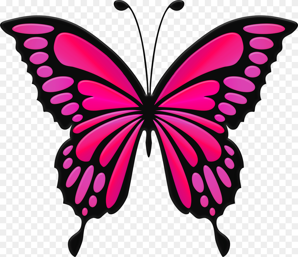 Pink Butterfly Clip Png
