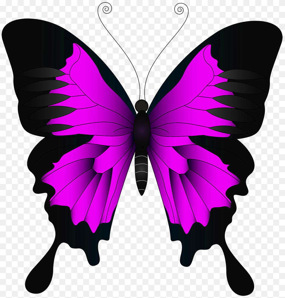 Pink Butterfly Clip Art, Graphics, Purple, Accessories Free Transparent Png
