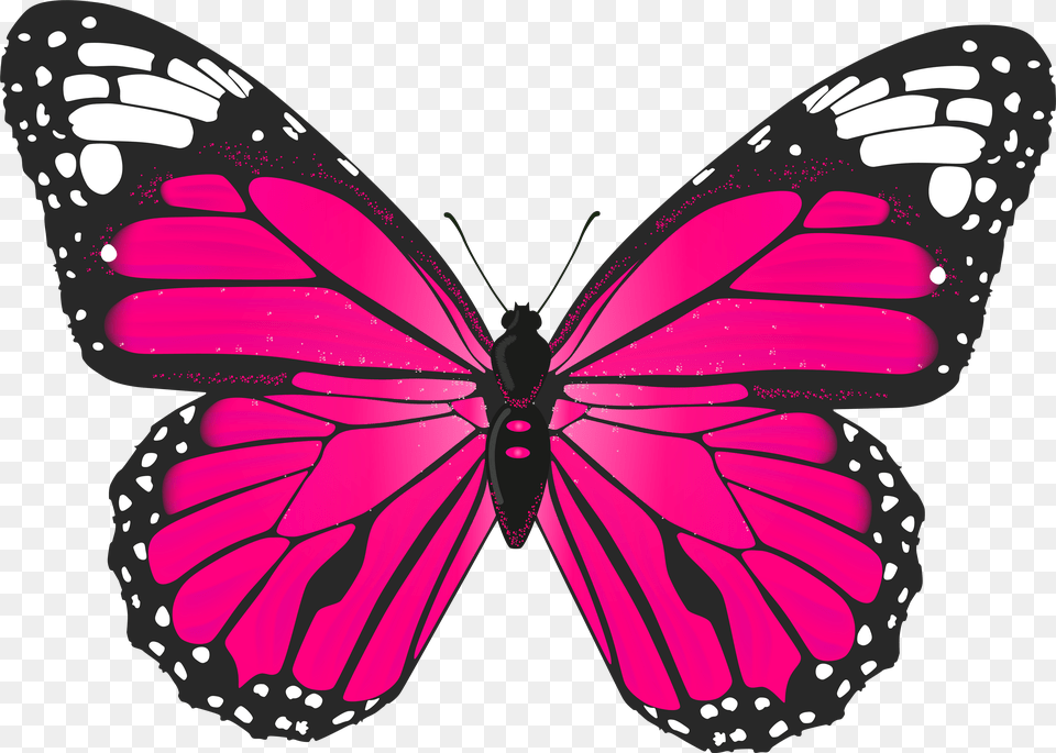 Pink Butterfly Clipart Png Image