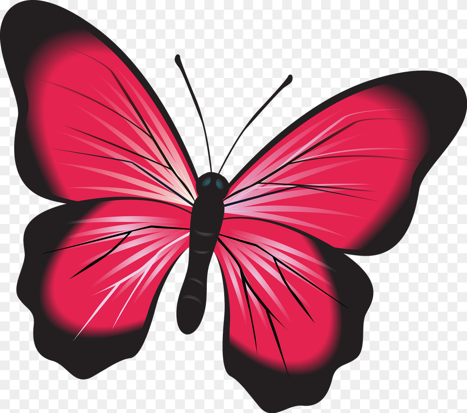 Pink Butterfly Clipart, Art, Animal, Insect, Invertebrate Free Png