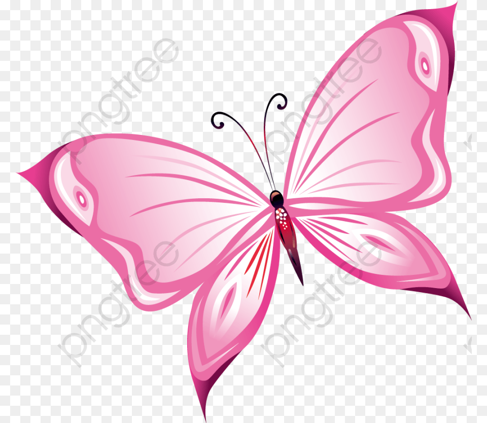 Pink Butterfly Clipart, Plant, Flower, Petal, Graphics Free Png