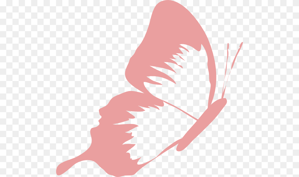 Pink Butterfly Clipart, Flower, Petal, Plant, Adult Free Transparent Png