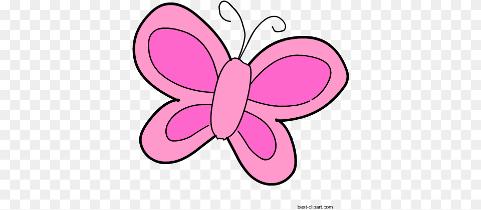 Pink Butterfly Clipart Clip Art, Purple, Knot, Flower, Plant Free Png
