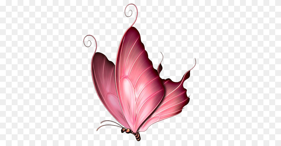 Pink Butterfly Image, Art, Petal, Pattern, Leaf Png