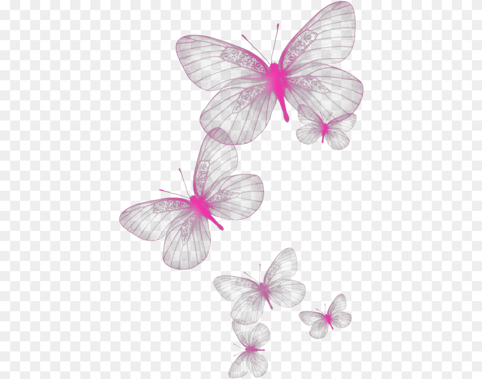 Pink Butterfly Kelebek Christmas Newyear Remiks Transparent White Butterfly, Purple, Flower, Plant, Pattern Free Png
