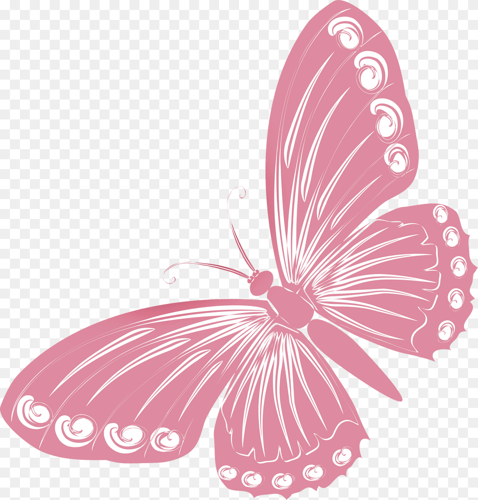 Pink Butterfly Mariposas En Color Coral, Flower, Plant, Petal, Art Free Png Download