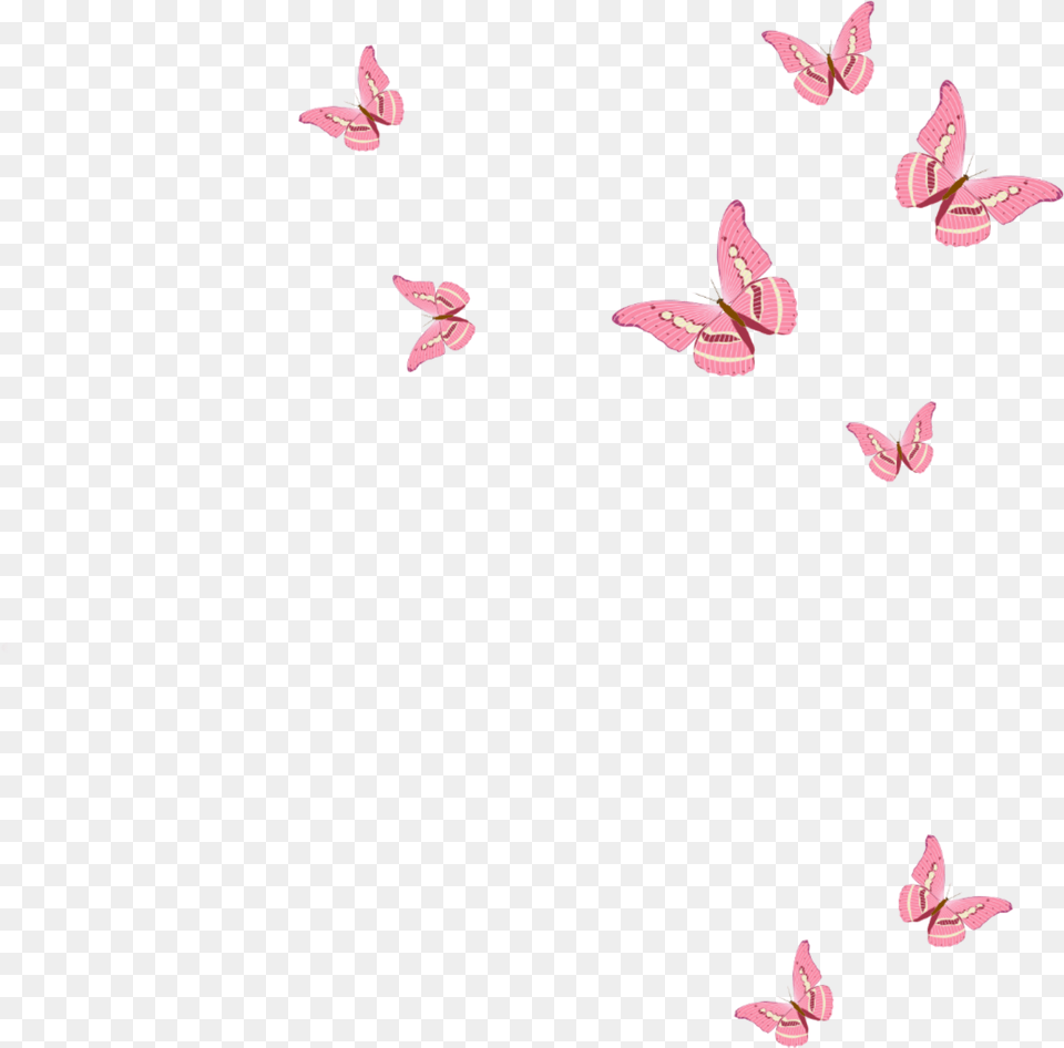 Pink Butterfly Pink Butterfly, Animal, Bird, Flying, Flower Png Image