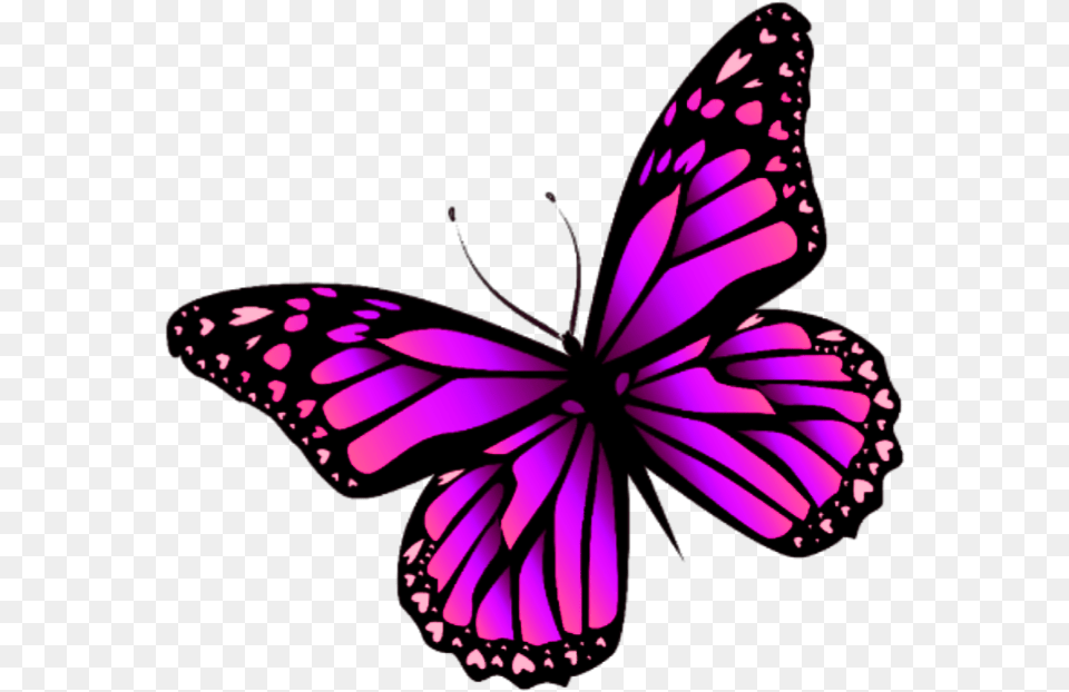 Pink Butterfly Sticker, Purple, Animal, Insect, Invertebrate Free Png