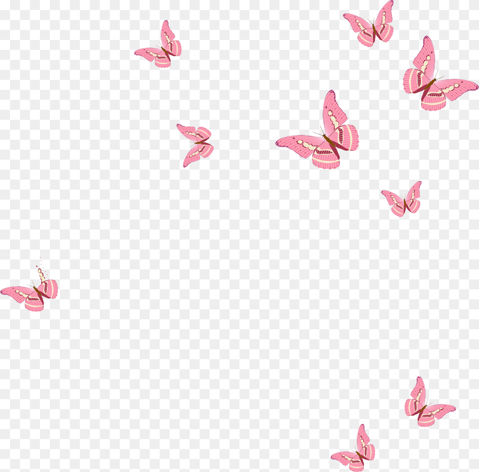 Pink Butterfly Stock Photos Royalty Pink Butterfly Images, Animal, Bird, Flying, Wildlife Free Transparent Png