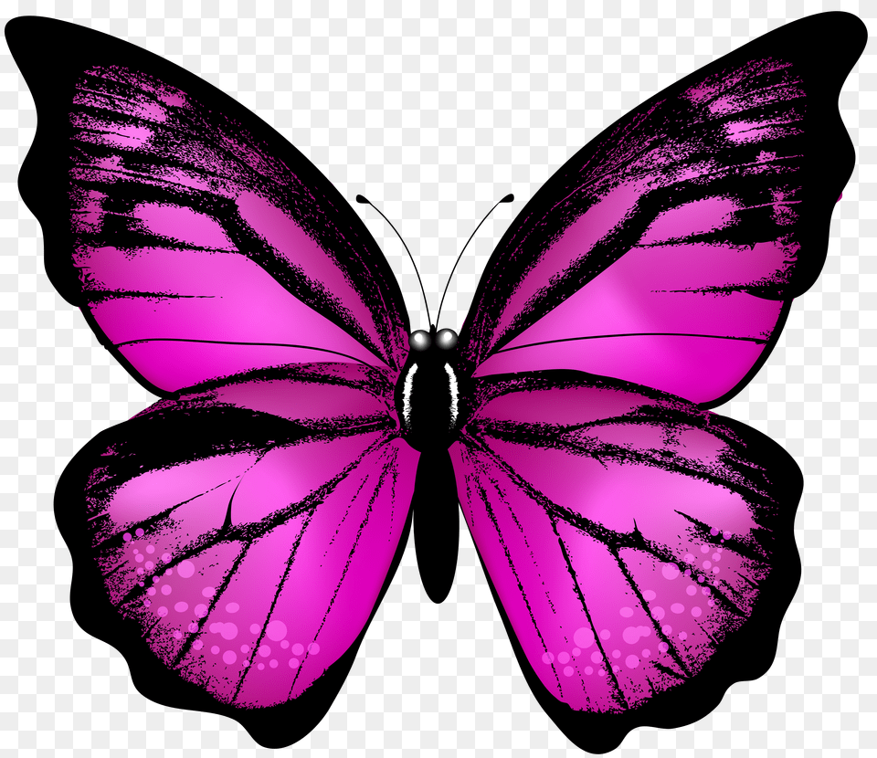 Pink Butterfly Transparent Clip Art Free Png