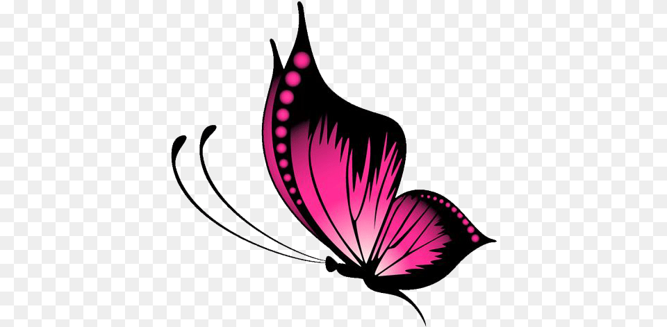 Pink Butterfly Vector, Graphics, Art, Plant, Petal Free Transparent Png