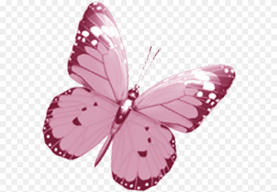 Pink Butterfly Watercolor Butterflies Transparent Background, Flower, Plant, Petal, Animal Png Image