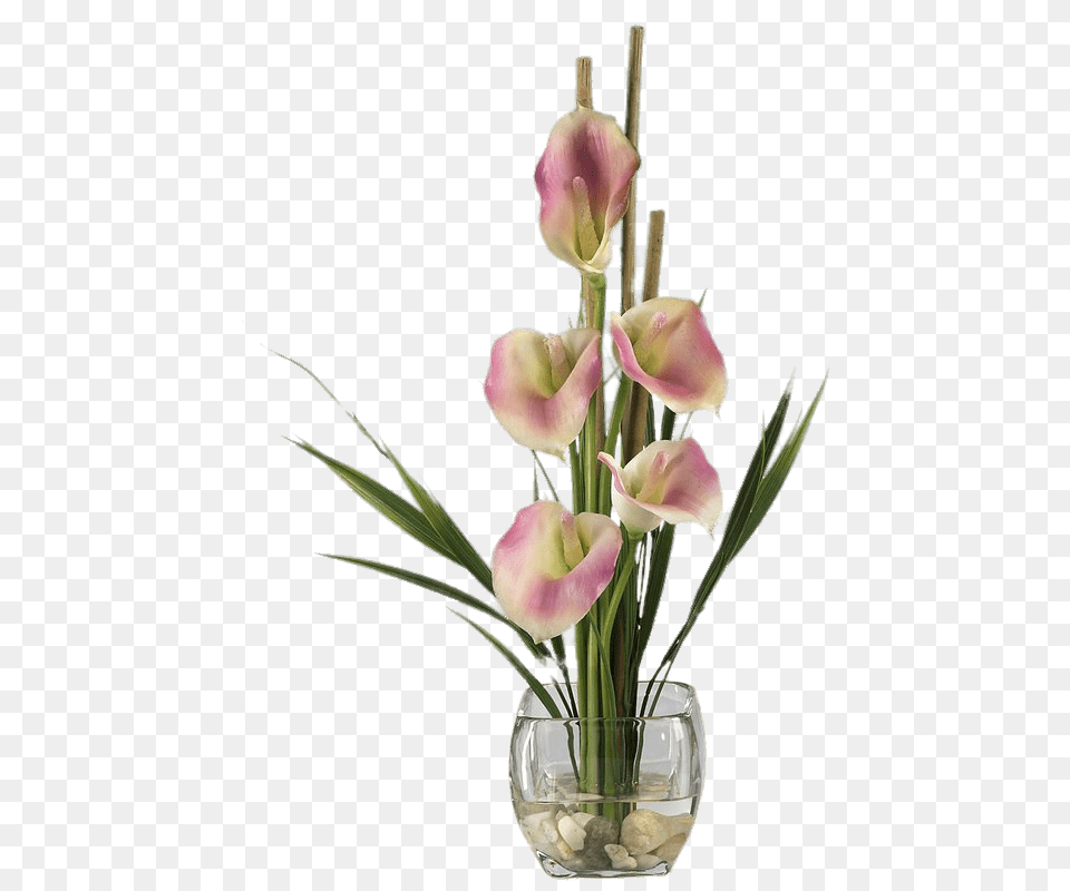 Pink Calla Lilies Composition, Flower, Flower Arrangement, Ikebana, Plant Png