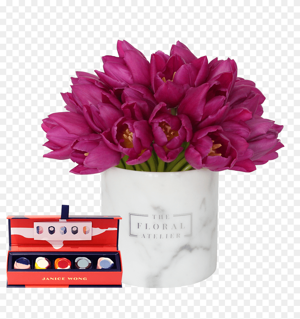 Pink Carnation Lovely, Flower, Flower Arrangement, Flower Bouquet, Plant Png