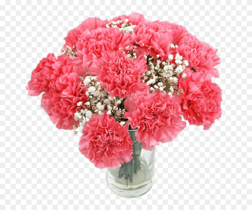 Pink Carnations, Carnation, Flower, Plant, Flower Arrangement Free Png Download
